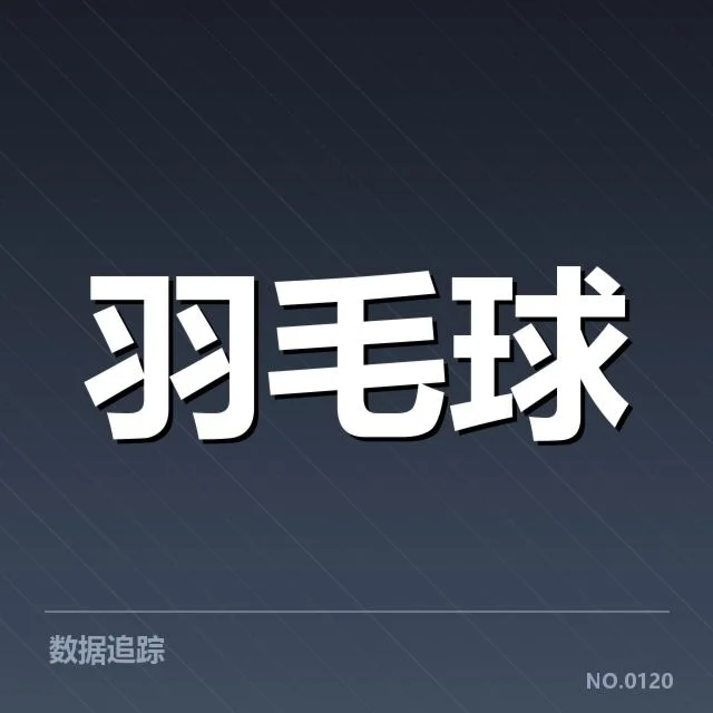 国羽教练变动：队伍未来发展走向如何